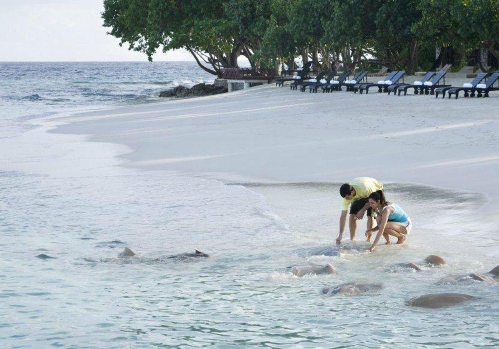 Rezort Taj Coral Reef & Spa,maldives Hembadhu Island