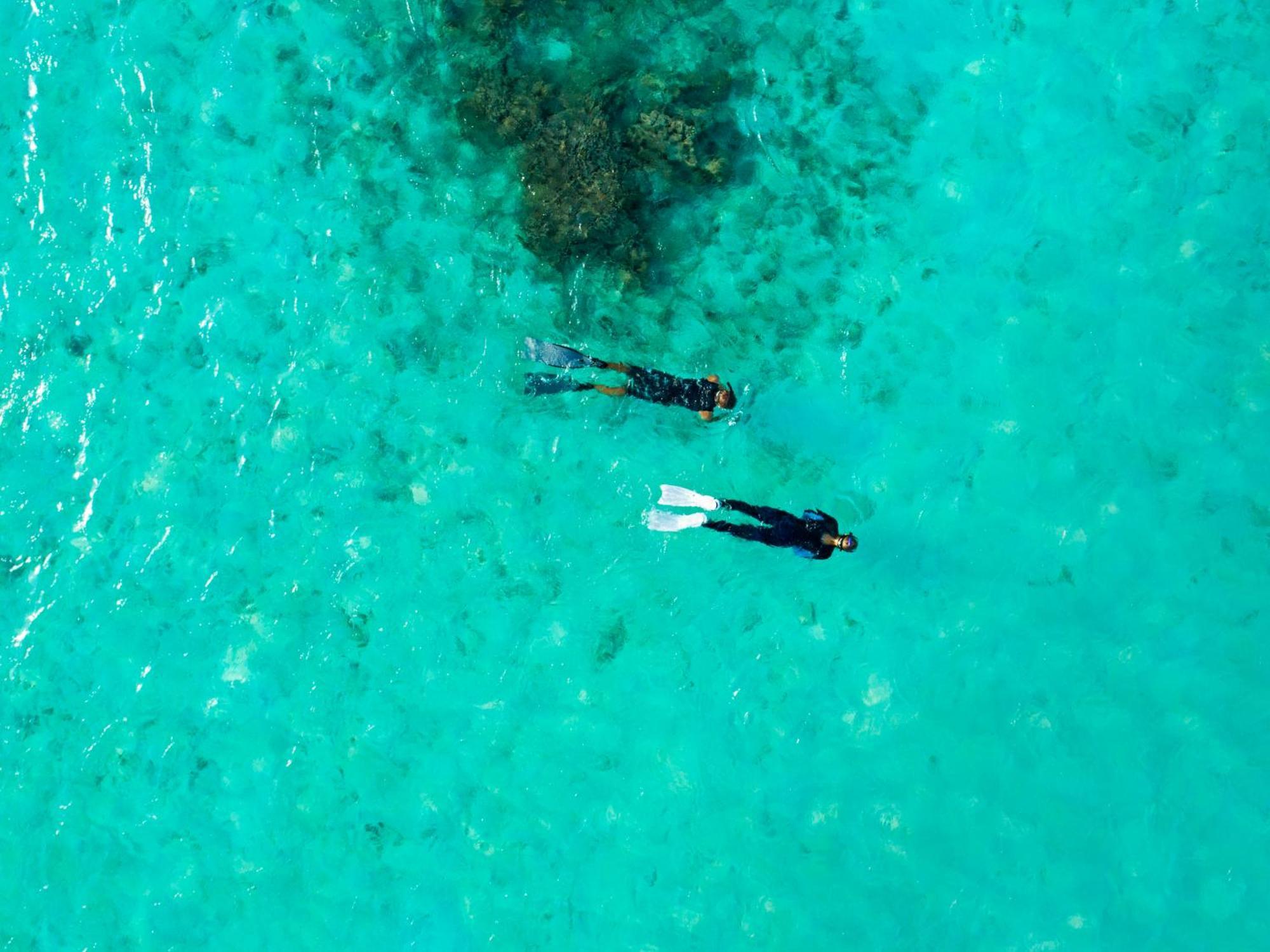 Taj Coral Reef & Spa,maldives 5* Hembadhu Island