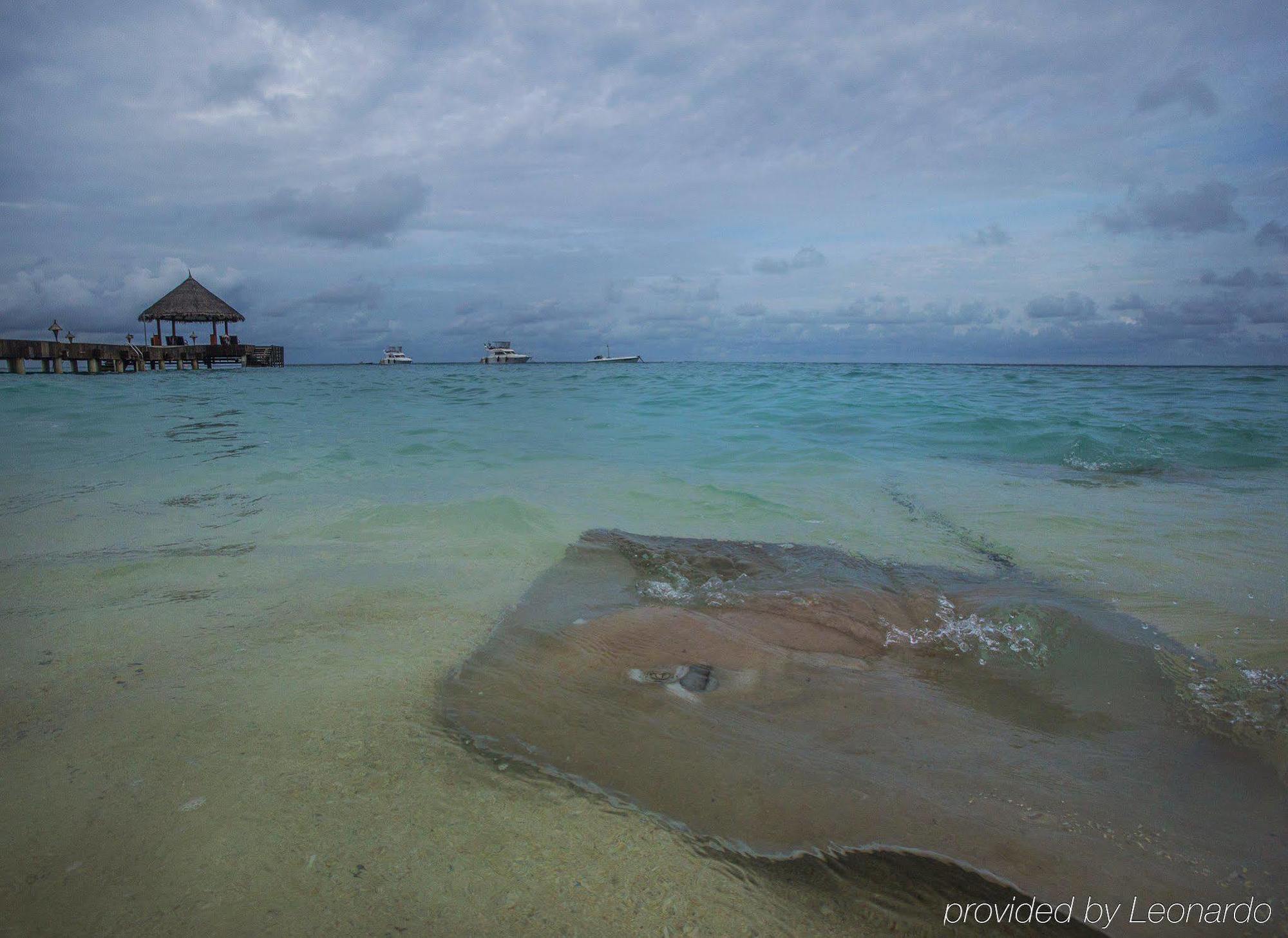 Taj Coral Reef & Spa,maldives Rezort